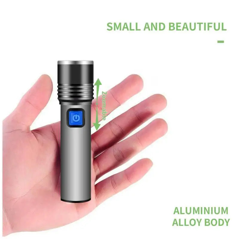 Black Light Flashlight 365nm Portable Detector USB Rechargeable Detector Telescopic Zoom Flashlight For Pet Urine Dry Stains